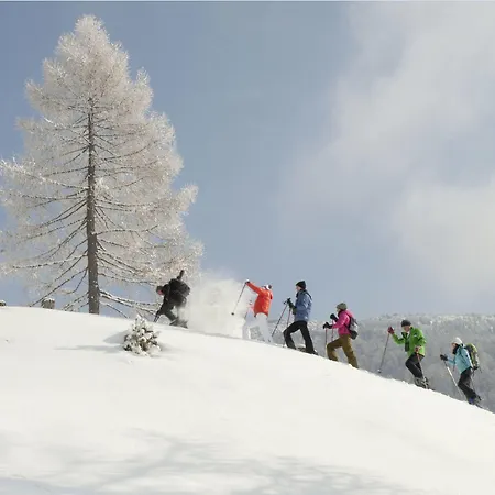 Apartmán Alpin Heiligenblut